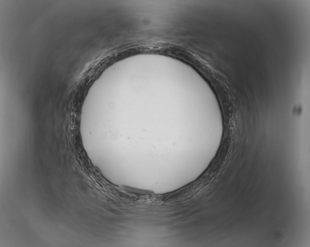 X0000115481447200912040941