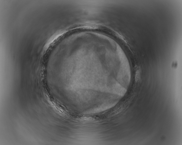 X0000115481448200912040941