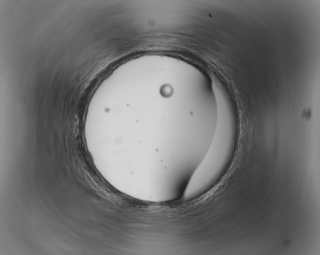 X0000115481449200912040941