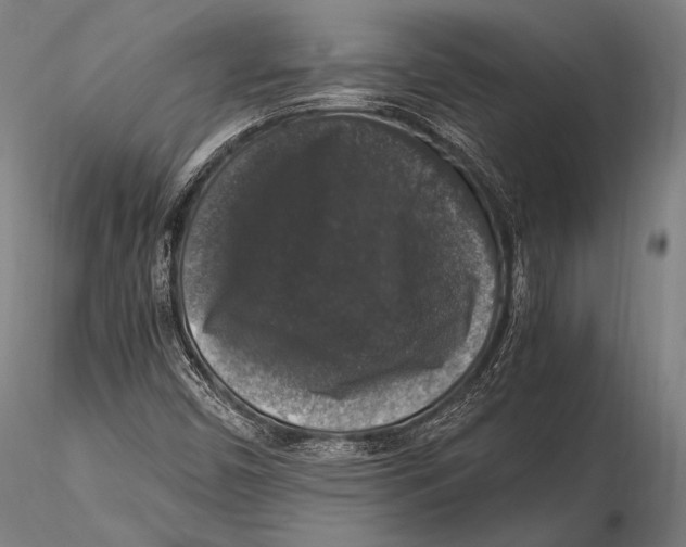 X0000115481450200912040941