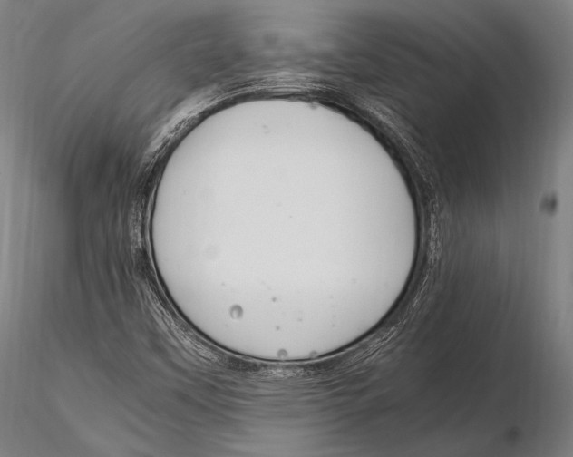 X0000115481451200912040941