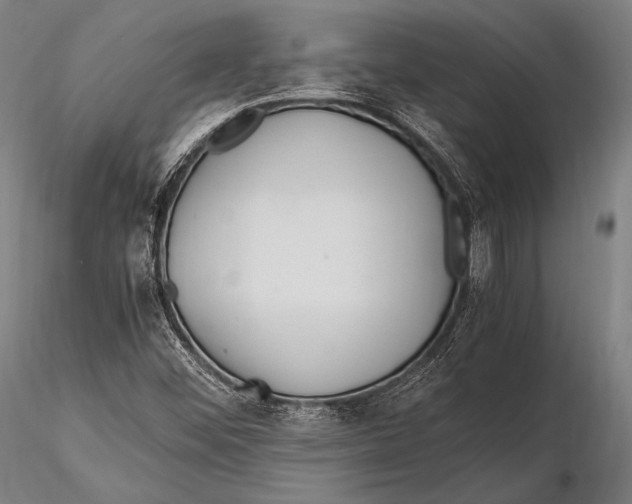 X0000115481452200912040941