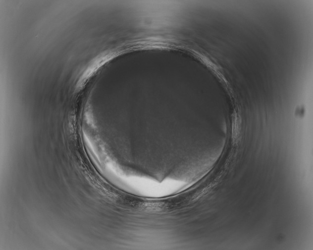 X0000115481453200912040941