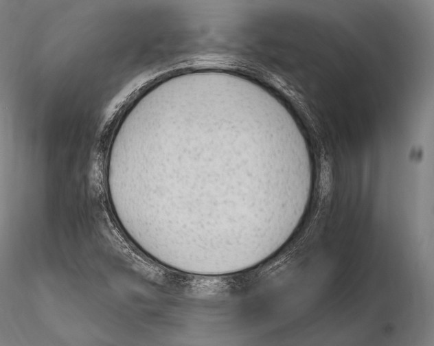 X0000115481454200912040941