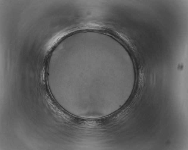 X0000115481455200912040941