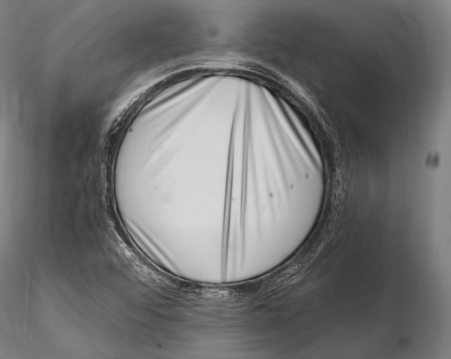 X0000115481456200912040941