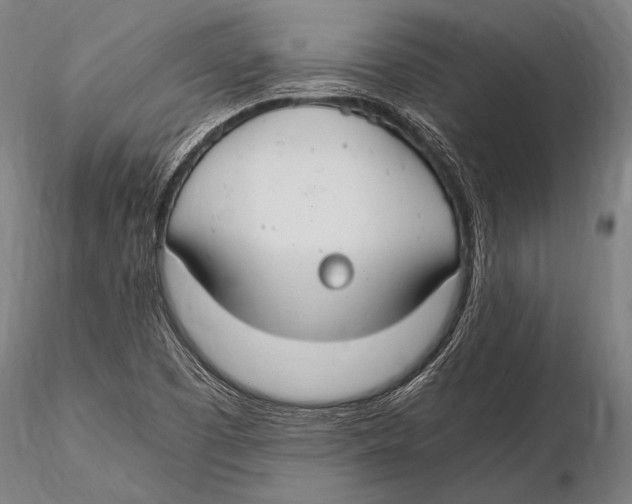 X0000115481457200912040941