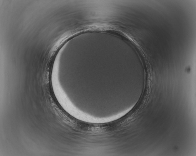 X0000115481459200912040941