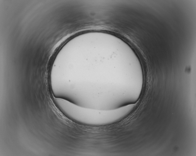 X0000115481460200912040941