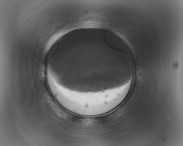 X0000115481461200912040941