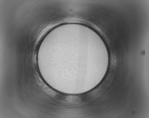 X0000115481462200912040941