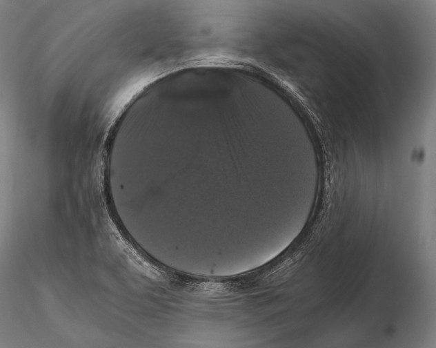 X0000115481463200912040941