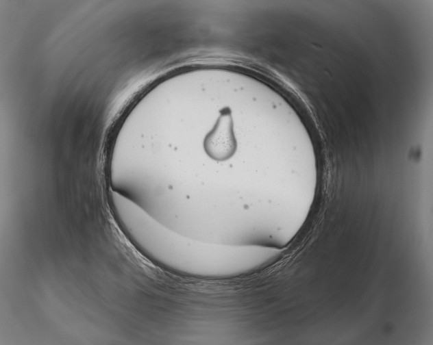 X0000115481464200912040941