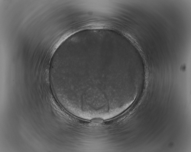 X0000115481465200912040941