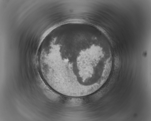 X0000115481466200912040941