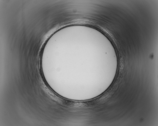 X0000115481467200912040941