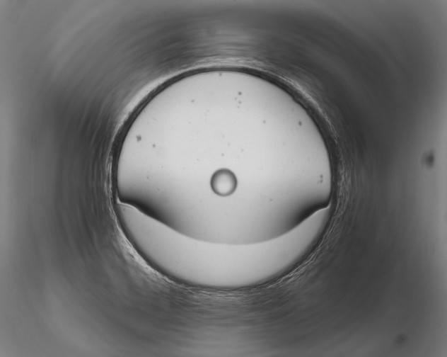 X0000115481468200912040941