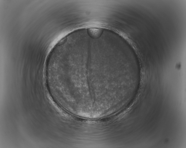 X0000115481469200912040941