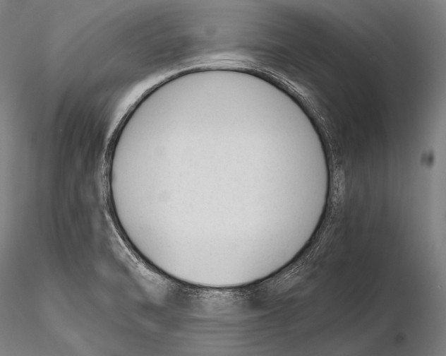 X0000115481470200912040941