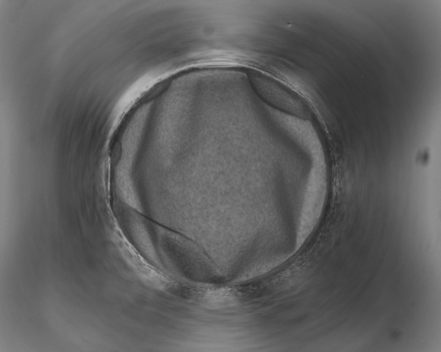 X0000115481472200912040941