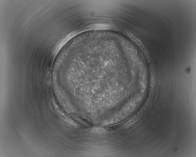 X0000115481473200912040941