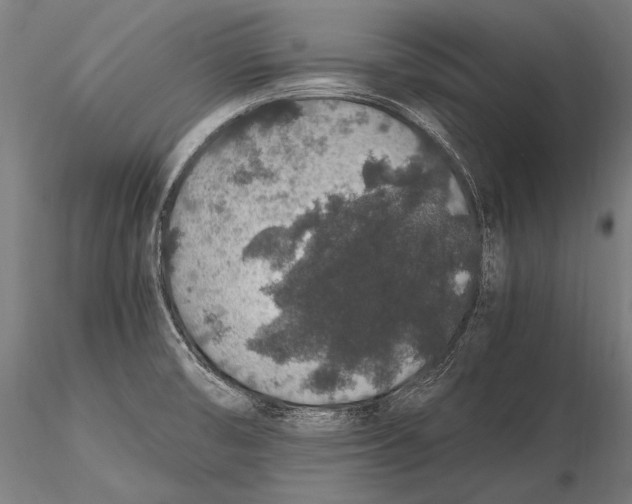 X0000115481474200912040941