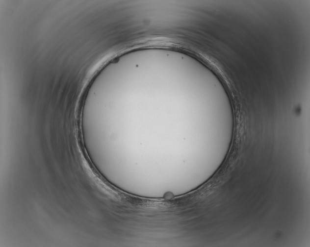 X0000115481475200912040941