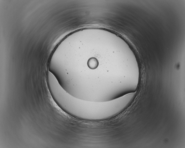 X0000115481476200912040941