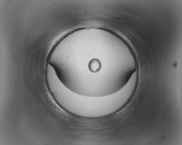 X0000115481477200912040941