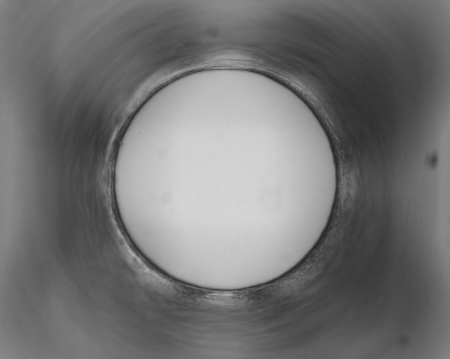 X0000115481478200912040941