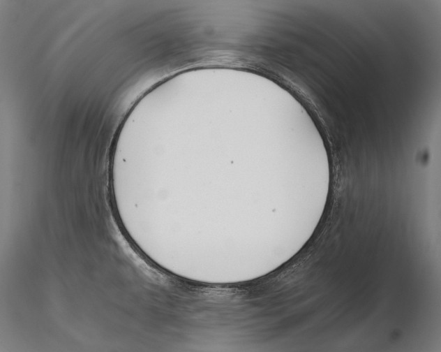 X0000115481479200912040941