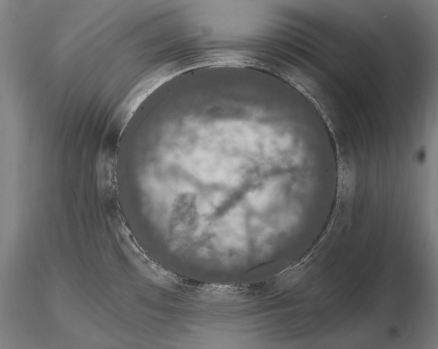 X0000115481481200912040941