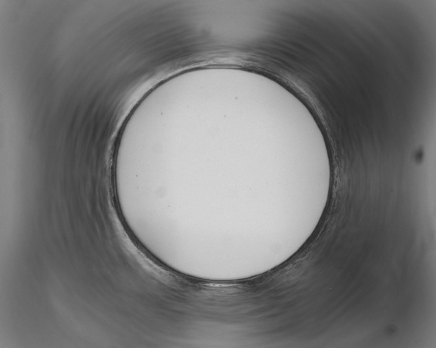 X0000115481483200912040941