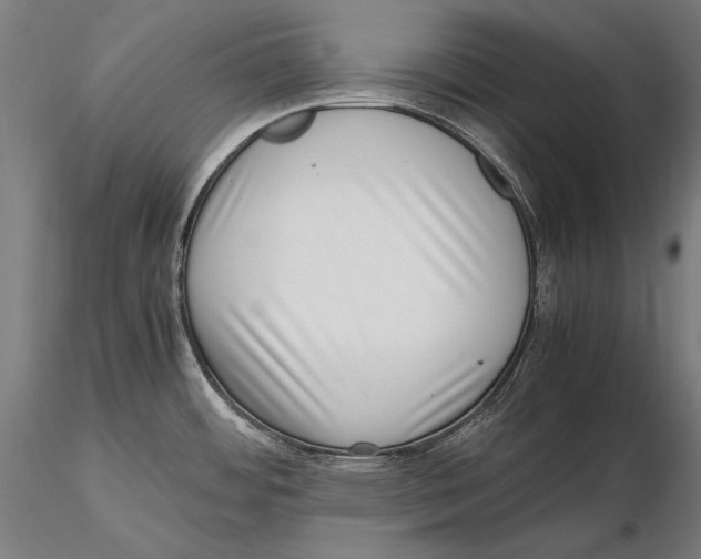 X0000115481484200912040941