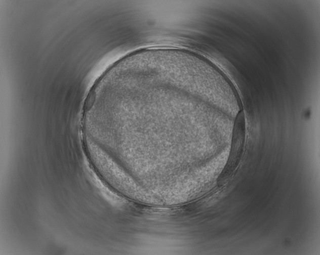 X0000115481485200912040941