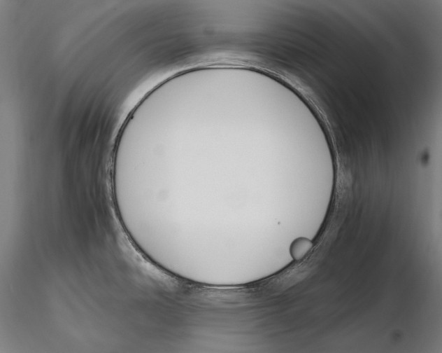 X0000115481486200912040941