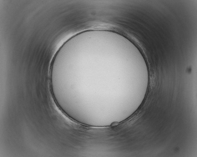 X0000115481487200912040941