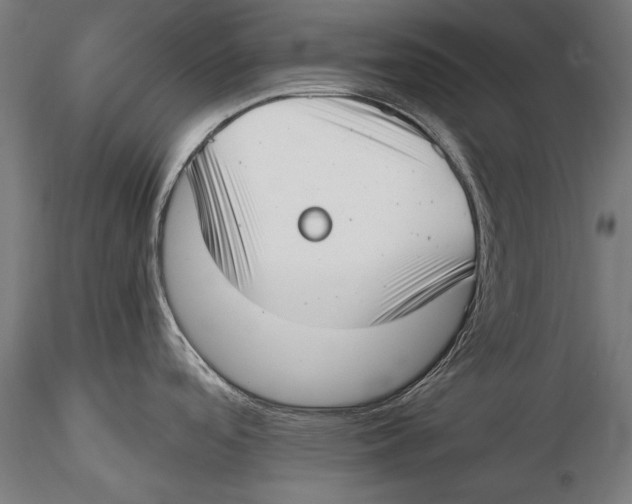 X0000115481488200912040941