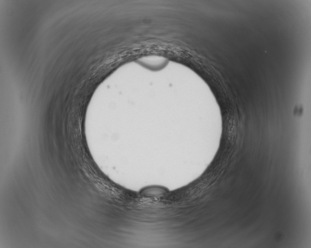 X0000115481489200912040940