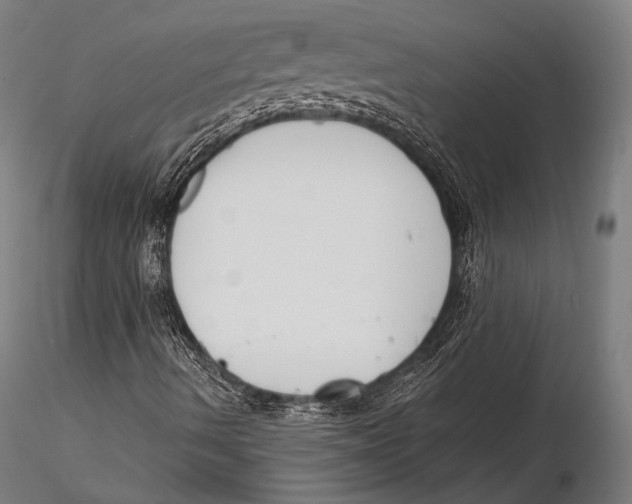 X0000115481490200912040940