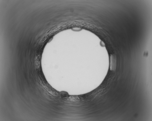 X0000115481491200912040940