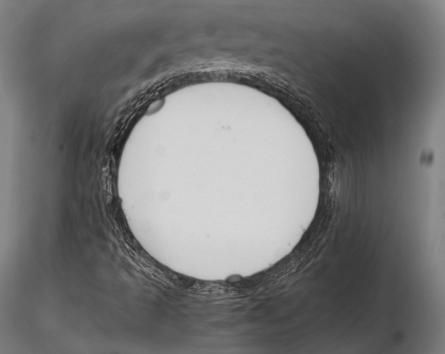 X0000115481493200912040940