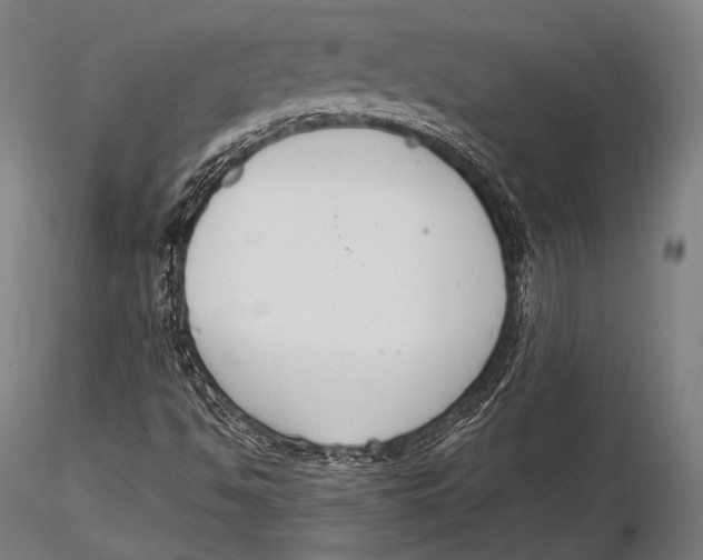 X0000115481494200912040940