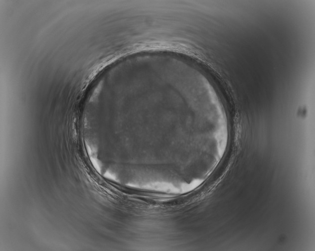 X0000115481497200912040940