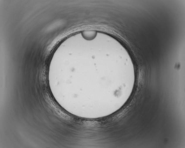 X0000115481498200912040940