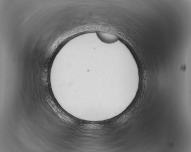 X0000115481499200912040940