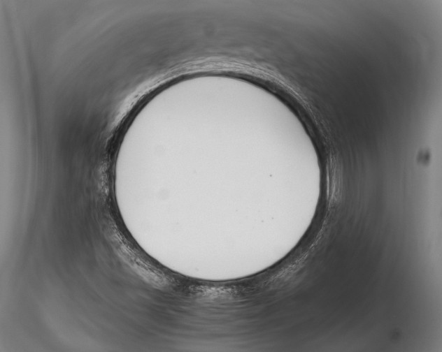 X0000115481501200912040940