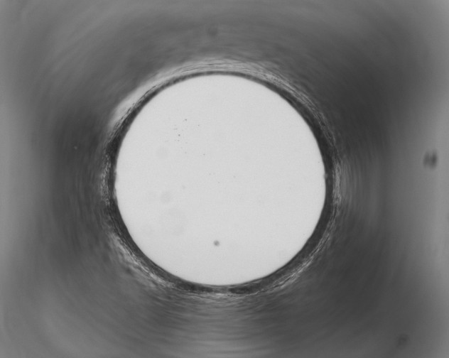 X0000115481502200912040940