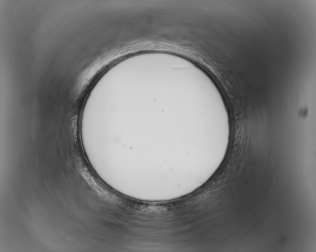 X0000115481503200912040940