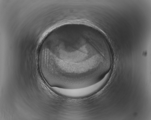 X0000115481506200912040940